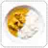 Chicken Korma and Rice